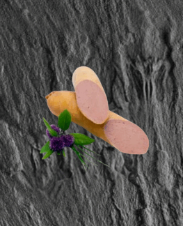 Leberwurst fein geräuchert