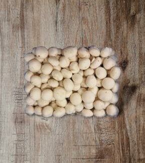 Champignons weiß, mittel 3000g