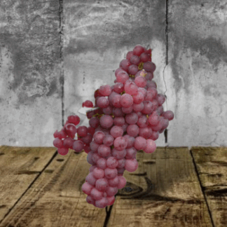Trauben rot