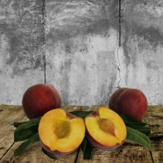 Pfirsiche "Royal Glory"