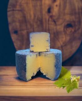 Violet de Kollweidé