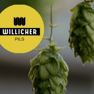 Willicher Pils 24x 0,33l Kasten
