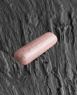 kleine gekochte Zwiebelmettwurst